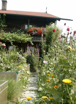 Gasserl im Gem&uuml;segarten