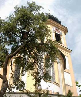 Starrenkasten+Kirche